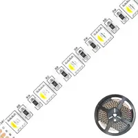EVN SB2024150509902 RGBWLEDStripsRouleau 5m 24V IP20 3000K 85W (RGBW, 500 cm, Intérieur)