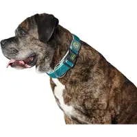 Hunter Pet Plus Thread Dog Collar Vert 40-60 cm