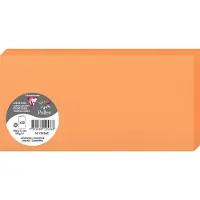 Pollen Clairefontaine Pollen DL - Papier - clémentine - 106 x 213 mm - 210 g/m² - 25 carte(s) cartes pliées en deux