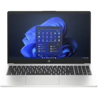 HP 250 G10 (15.60", 256 Go, 8 Go, DE, Intel Celeron N100), Ordinateur portable, Argent