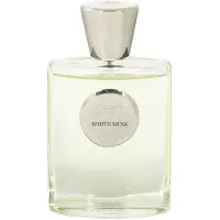 Giardino Benessere White Musk eau de parfum spray 100ml