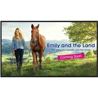 Sharp PNHW751, 190,5 cm (75"), LED, 3840 x 2160 pixels