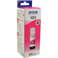 Epson C13T00S34A10 recharge d'encre pour imprimante