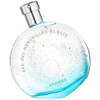 Hermès Paris Eau Des Merveilles Bleue Eau de Toilette 50 ml