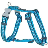 Red Dingo Harnais pour chien Os réfléchissant 30-48 cm turquoise