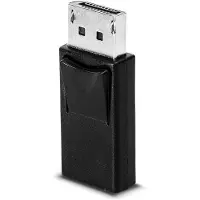 Lindy DisplayPort an Mini-Displayport Adapter