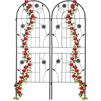 Relaxdays - Tuteur À Tomates, En Lot De 2, Pour Plantes Grimpantes, En Métal, À Planter, H X L : Env. 150 X 50 Cm, Noir