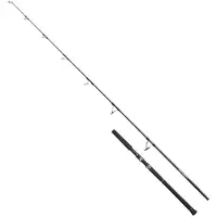 Shimano Fishing Ocea Plugger Limited Spinning Rod Argenté 2.51 m / 120 g