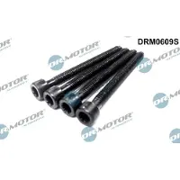 Dr.Motor Automotive Vw Injecteur Pompe Ensemble De Vis (M6X64) 4Pcs.
