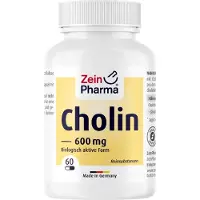 Zein Pharma - Germany GmbH ZeinPharma Choline 600 mg gélules, 60 gélules