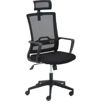 58 aufm Kessel My Studio (43 - 53 cm)