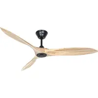 CasaFan Ventilateur de plafond ECO AIRSCREW, Ø hélice 1520 mm, naturel / noir mat., Ventilateur, Noir