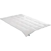 Badenia irisette Daunensteppbett Luna medium (820 g, Duvet, 200 x 200 cm)