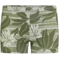 O'Neill Maillot de bain 'Essentials Racer' vert