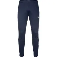 Puma Pantalon Teamliga Training