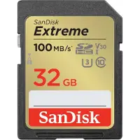 SanDisk SDSDXVT-032G-GNCI2, 32 Go, SDHC, classe 10, 100 Mo/s, 60 Mo/s, classe 3 (U3)