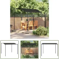 The Living Store Pavillon 3x2,4 m Anthrazit