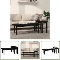 The Living Store Ensemble de 2 tables basses en pin massif noir