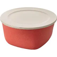 Koziol Boîte Connect Box avec couvercle, saladier, bol, mélange de plastique et de bois, Nature Coral, 2 L, 7871704
