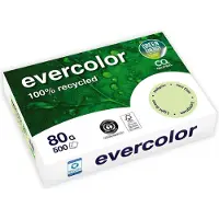 Clairefontaine Farbiges Kopierpapier EVERCOLOR, DIN A4, 80 g/m², hellgrün, 1 Paket = 500 Blatt