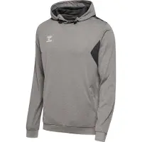 Hummel Sweat de sport 'Authentic PL' gris / blanc