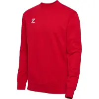 Hummel Sweat de sport 'Go 2.0' rouge sang