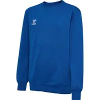 Hummel Sweat de sport 'GO 2.0' bleu cobalt / blanc