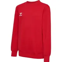 Hummel Sweat de sport 'Go 2.0' canneberge / blanc