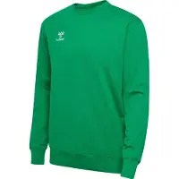 Hummel Sweat de sport 'GO 2.0' vert gazon / blanc