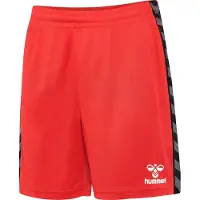 Hummel Pantalon de sport 'Authentic PL' gris foncé / rouge / noir / blanc
