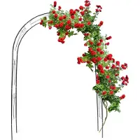 Relaxdays Arche À Rosiers Tuteur Roses Arche De Jardin Arceau Rosiers Support Plantes Grimpantes Vert 2,3 M
