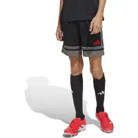 Adidas Pantalon de sport 'Squadra 25' gris / rouge / noir
