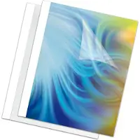 Fellowes - A4 (210 x 297 mm) - 120 feuilles - 150 micromètres - blanc - 100 unités couverture à reliure thermique