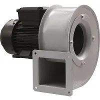Maico Ventilateur radial GRM HT 10/2 taille 100, 0,09 kW de - 0073.0279