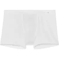 Hom Boxer