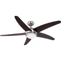 Globo Ventilateur de plafond Fabiola noir mat
