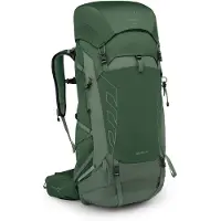 Osprey - Sac à dos technique de trekking polyvalent - Talon 44 Green Canopy/Pine Leaf pour Homme - Taille L/XL - Vert