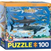 Eurographics Requins 100 pièces Kids 5+