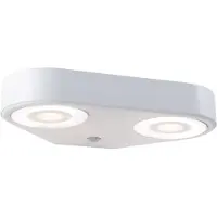 Paulmann LED Applique murale d'extérieur Silma Détecteur de mouvement àcrépusculaire (IR) Double sortie de lumière