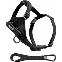Kurgo True-fit Smart Dog Harness Noir M