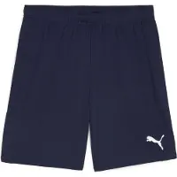 Puma Pantalon Team Goal S0061