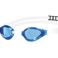 Arena Lunettes de natation Python