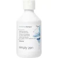 Simply Zen Normalizing Shampoo shampoing normalisant pour cheveux gras 250 ml