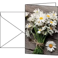 Sigel 10 Cartes de voeux Summery DIN A6 (10 feuilles, 220 g/m²)