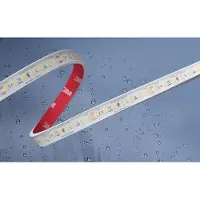 Barthelme Bande LED 5m 51540533