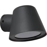 Lucide Dingo Applique Anthracite