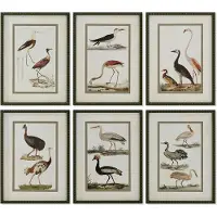 Home ESPRIT Cadre - - Cottage - Verre et bouleau - Motif oiseaux - Vert et beige