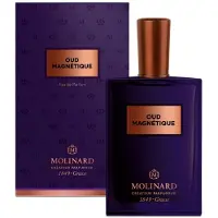 Molinard Oud Magnétique Eau de Parfum mixte 75 ml