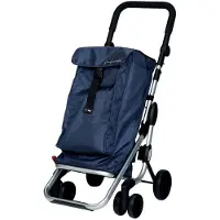 Playmarket Play Go Up Shopping Cart Bleu