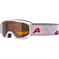 Alpina Masque de ski